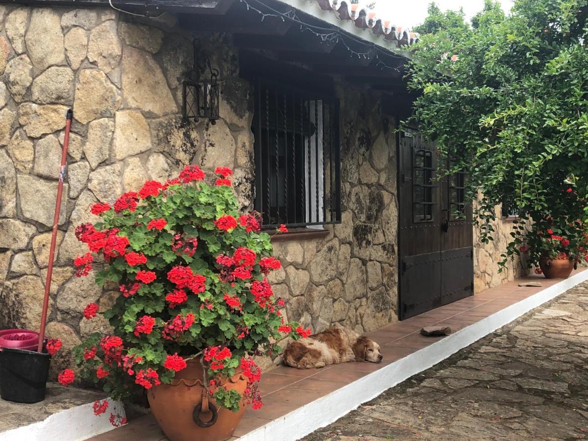 Finca Vergel Gata Exterior photo